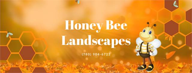   Honeybee Landscape Designs