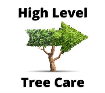 High Level Tree Care