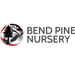 Bend Pine Nursery